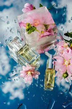 Template for perfume and eau de toilette with ice deco, podium with flowers Stock Photos