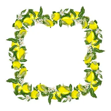 Template square frame wreath with citrus fruit tree branch with lemon fruits, Stock-Illustration
