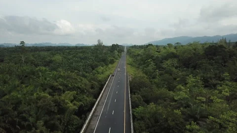 Template for stock Stock Footage 146506789