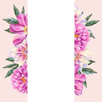 Template for text with beautiful peony. Frame or border with pink flowers with Stock Illustration