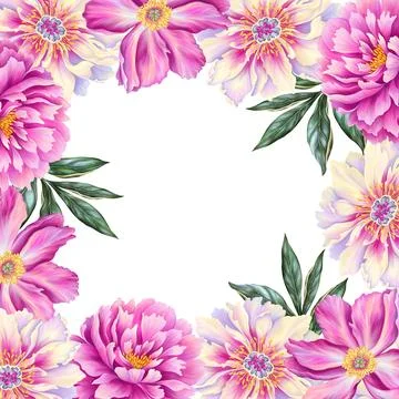 Template for text with beautiful peony. Frame or border with pink flowers with Stock Illustration