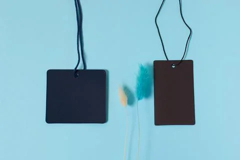 Template. Two empty tags for clothes and shoes dried lagurus flowers Stock Photos