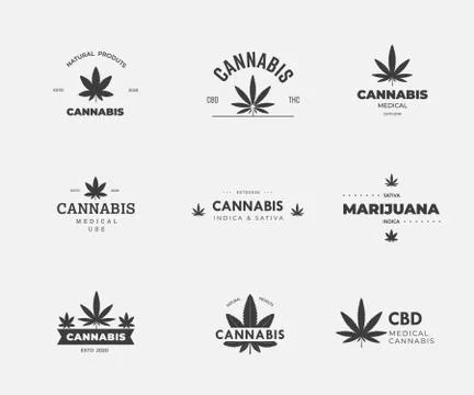 Template vector linear emblem hemp cbd and thc on a white background. Stock Illustration