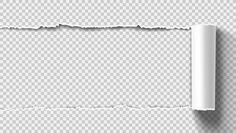 Template of vector torn paper Stock Illustration