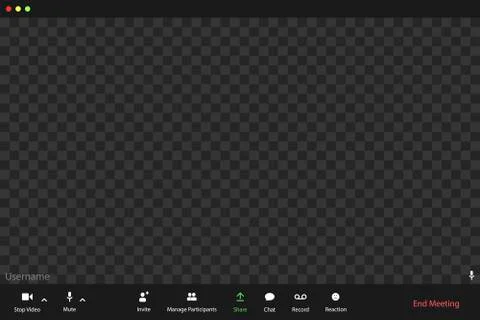 Template video conference user interface, video conference calls window overlay. Stock Illustration