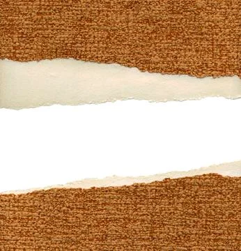 Template for your the project from torn textured paper Foto stock