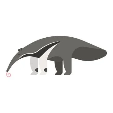 TemplateVector flat style illustration of anteater. Stock Illustration