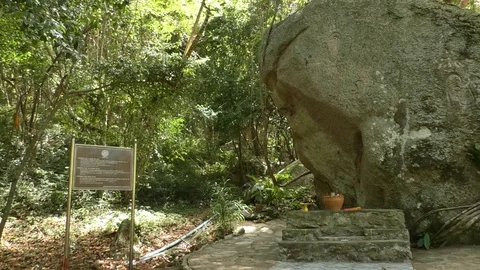 Temple among tropical forests Stock-Footage 112352317