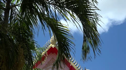 Temple and palm tree 库存影片 151026331