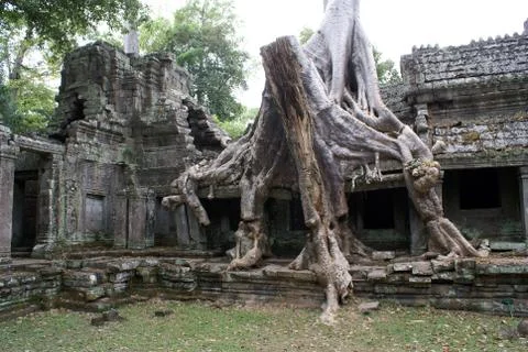 Temple and tree with roots Stock Photos