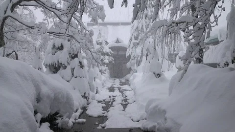 Temple And Trees Covered In Deep Layer Of Snow Video stock 72110082