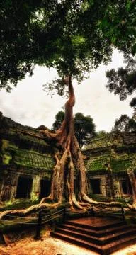 Temple in Ankor Wat Stock Photos