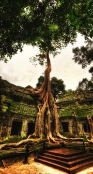 Temple in Ankor Wat Stock Photos