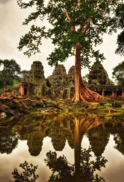 Temple in Ankor Wat Stock Photos