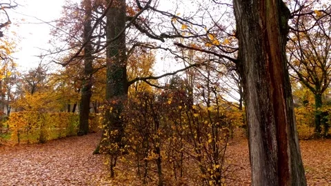 Temple of Arcadia. Destroyed in the rotunda in park. Ducal Park, also known s Stock Footage 130149159