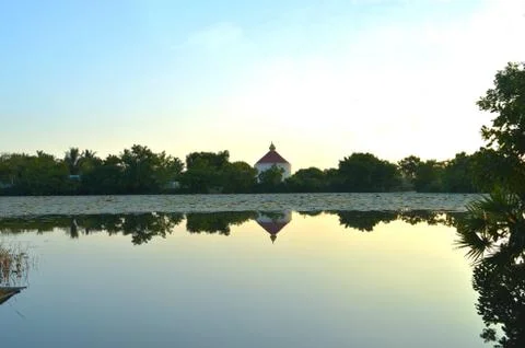 A temple in the background with its reflection in water. The pond is covered  Stock Photos