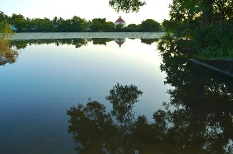 A temple in the background with its reflection in water. The pond is covered  Stock Photos