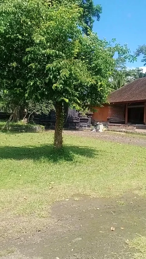 Temple in Bali 動画素材 205118827