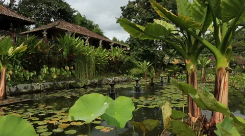 Temple Bali V001 Stock Footage 33915094