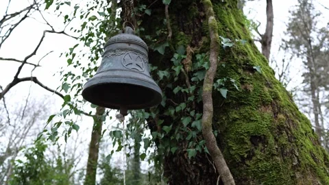Temple bell on tree in forest calm spiritual atmosphere Stock Footage 331200852