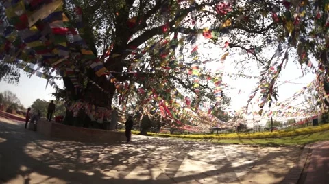 Temple  Building Stock Footage 54807793