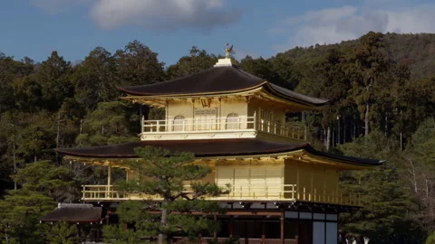 Temple Close-up Detail Stock Footage 316071239