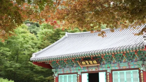 A temple with colorful patterns	 Stock-Footage 310161149