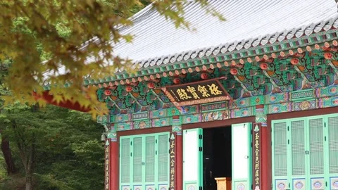 A temple with colorful patterns Video stock 310161303