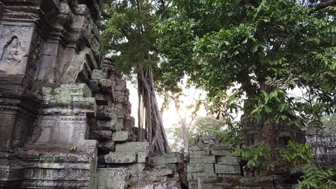 Temple complex of Angkor Wat, the temple of TA Prom, Cambodia. Stock Footage 106376342