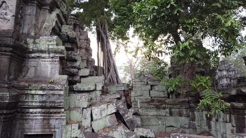 Temple complex of Angkor Wat, the temple of TA Prom, Cambodia. Stock Footage 106376671