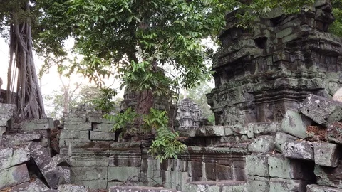 Temple complex of Angkor Wat, the temple of TA Prom, Cambodia. Stock Footage 106376885