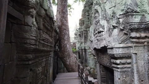 Temple complex of Angkor Wat, the temple of TA Prom, Cambodia. Stock Footage 106377393