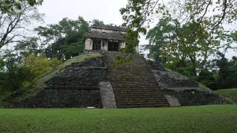 Temple of the Count, Palenque, Mexico Stock Footage 244248284