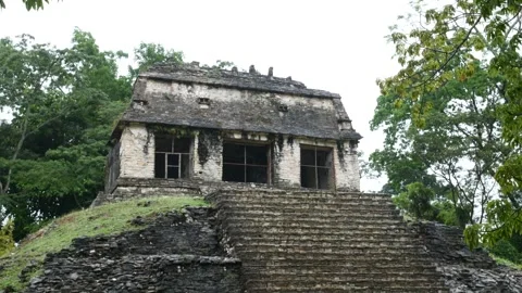 Temple of the Count, Palenque, Mexico Stock Footage 305058642