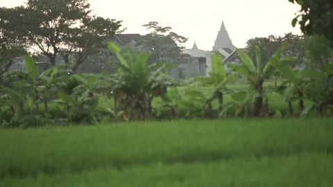 Temple in the countryside Stock Footage 260213031
