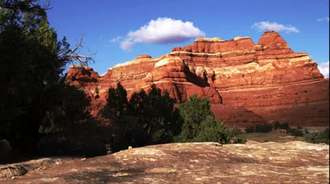 Temple Dolly Video stock 26104241