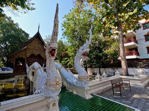 Temple Dragons Stock Photos