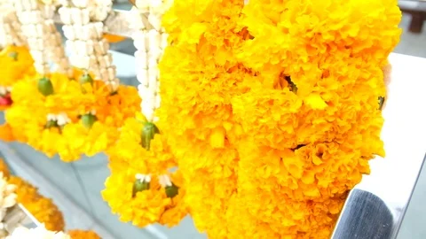 Temple Flowers 動画素材 95661217