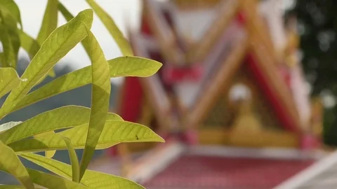 Temple Stock Footage 112609043