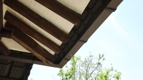 Temple in the forest and mountain 스톡 동영상 303398974