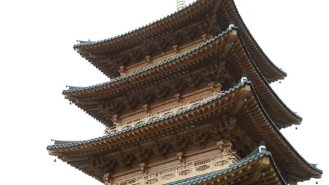 Temple in the forest and mountain Video stock 303402085