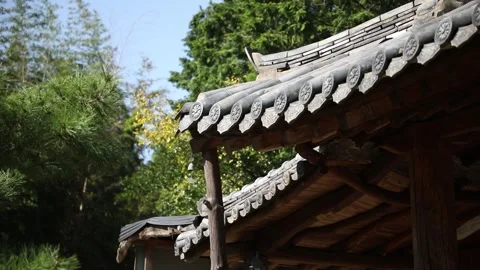 Temple in the forest and mountain	 Video stock 303402095