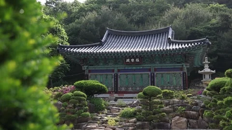 Temple in the forest and mountain Video stock 303539898