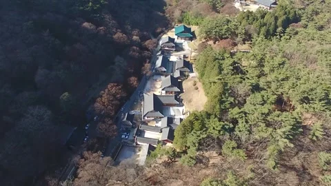 Temple in the forest and mountain Video stock 303551200