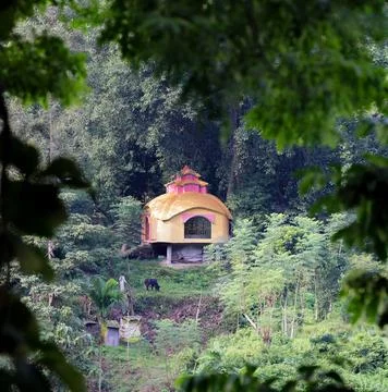 Temple in the forest. Stock Photos