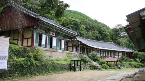 Temple in the forest, temple in the mountain Video stock 306033993