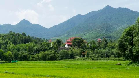 Temple in front of a mountain. Stock Photos