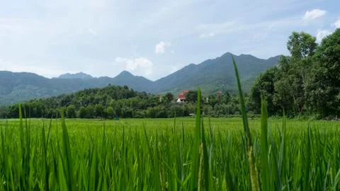 Temple in front of a mountain. Stock Photos