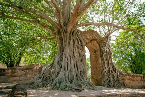 Temple gate Stock Photos