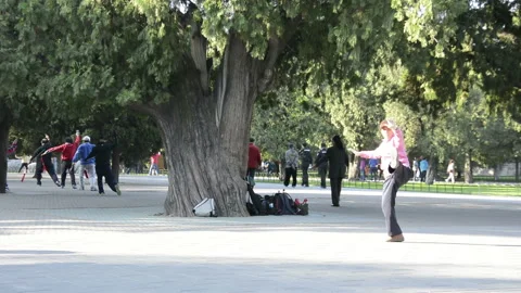 The Temple of Heaven Park Vídeo Stock 85702912